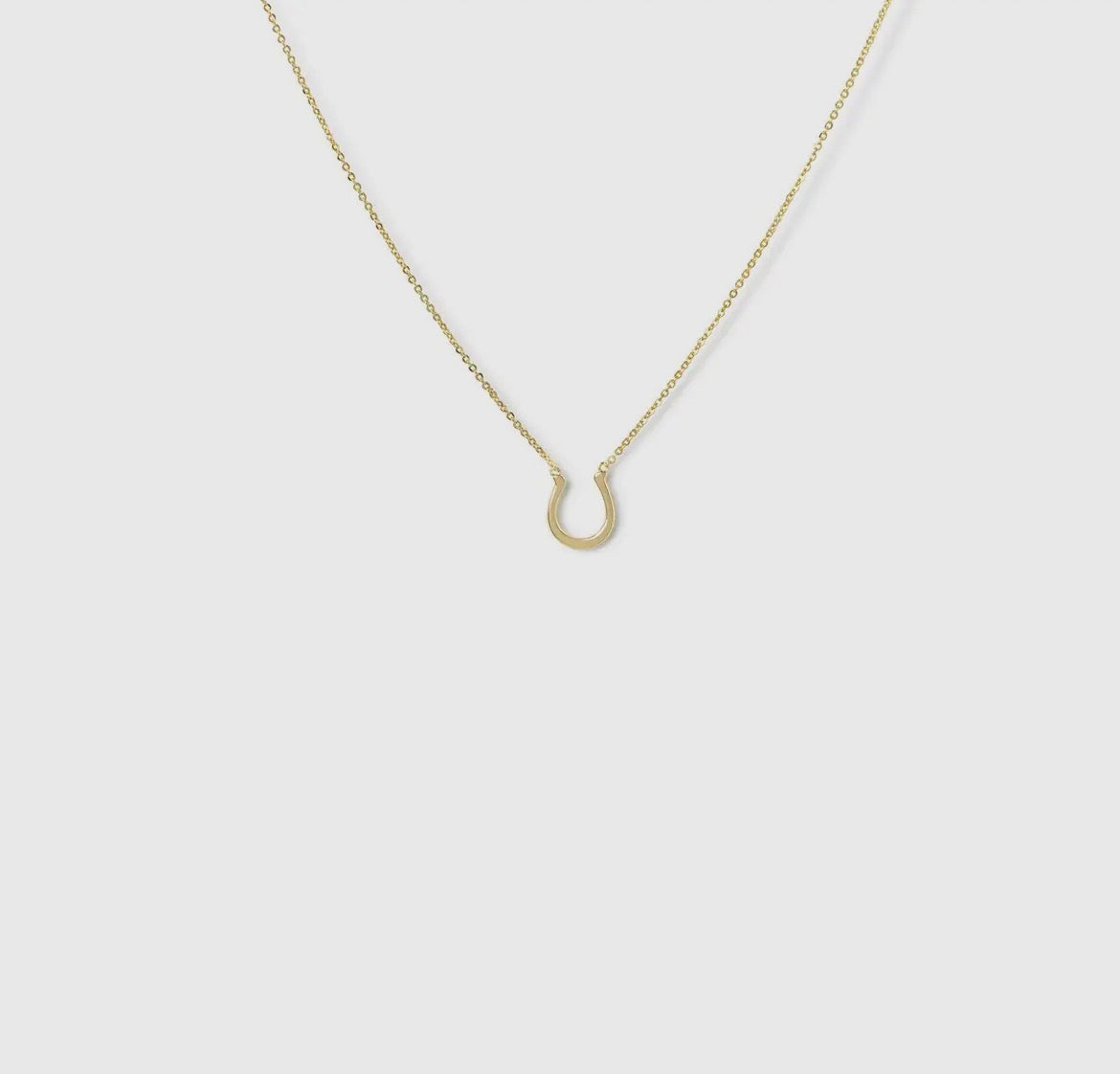 Lucky You Horseshoe Necklace